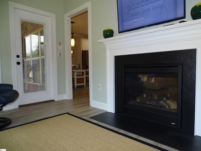 811 White Magnolia Dr, Inman, SC 29349 - detailed view of a fireplace with flush hearth and wood finished floors