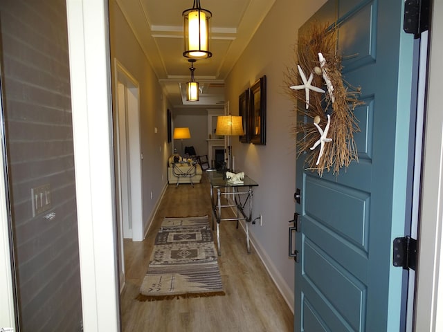 811 White Magnolia Dr, Inman, SC 29349 - entryway featuring light wood finished floors and baseboards