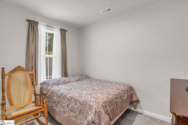 243 Lily Park Way, Easley, SC 29642 - bedroom with carpet and baseboards