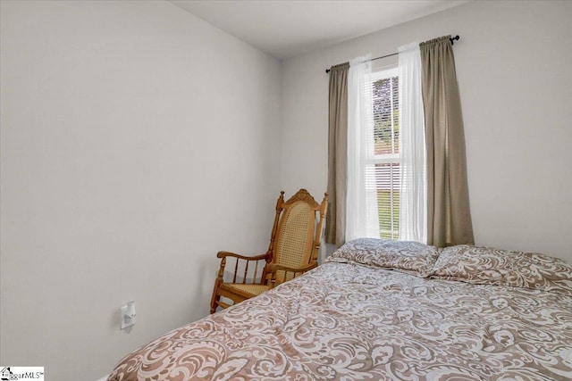 243 Lily Park Way, Easley, SC 29642 - view of bedroom