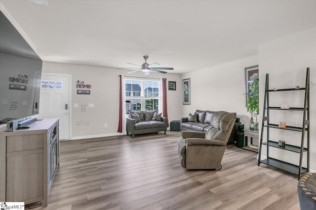 243 Lily Park Way, Easley, SC 29642 - living room featuring light wood-style floors and ceiling fan
