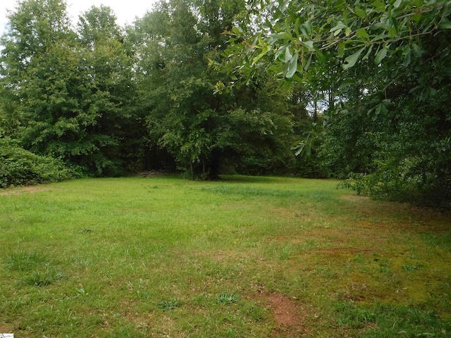 279 Finch Rd, Wellford, SC 29385 - view of grassy yard