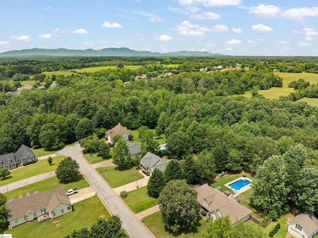 104 Superior Way, Greer, SC 29651 - aerial view of a forest and a mountain backdrop