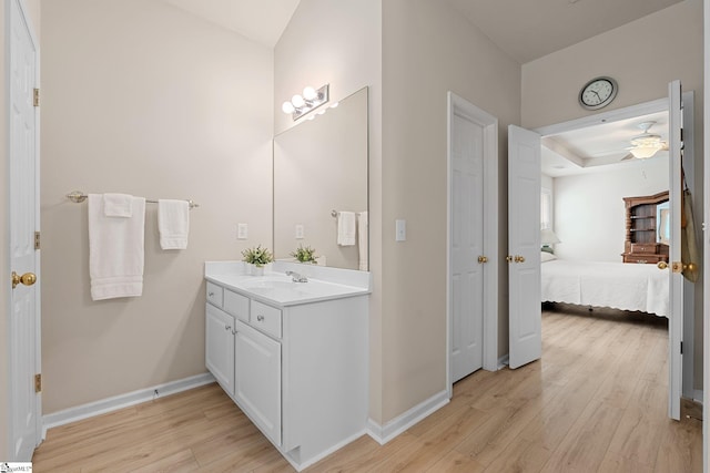 6 Castle Hall Ct, Simpsonville, SC 29681 - ensuite bathroom featuring vanity, wood finished floors, and a tray ceiling