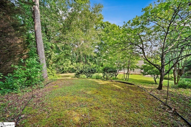 121 Chesterfield Ct, Easley, SC 29640 - view of grassy yard