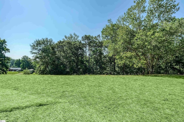 200 Folk Rd, Chesnee, SC 29323 - view of grassy yard