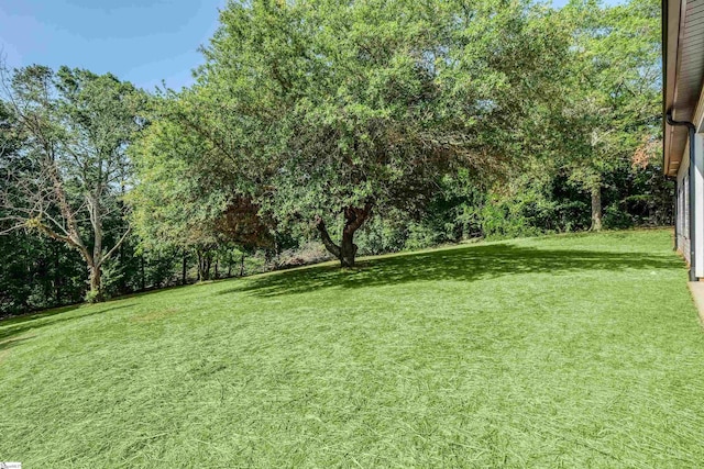 196 Folk Rd, Chesnee, SC 29323 - view of grassy yard
