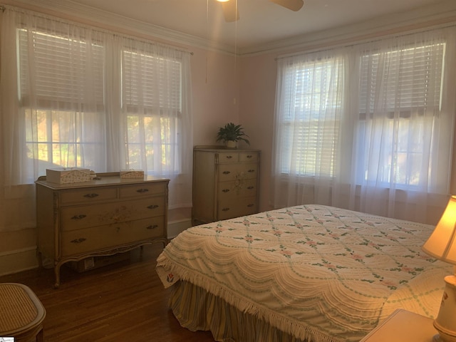 102 Highland Rd, Easley, SC 29640 - bedroom with multiple windows, dark wood-type flooring, ornamental molding, and ceiling fan