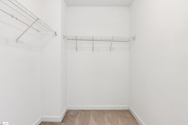 236 Worcester Ln, Easley, SC 29642 - spacious closet with light carpet