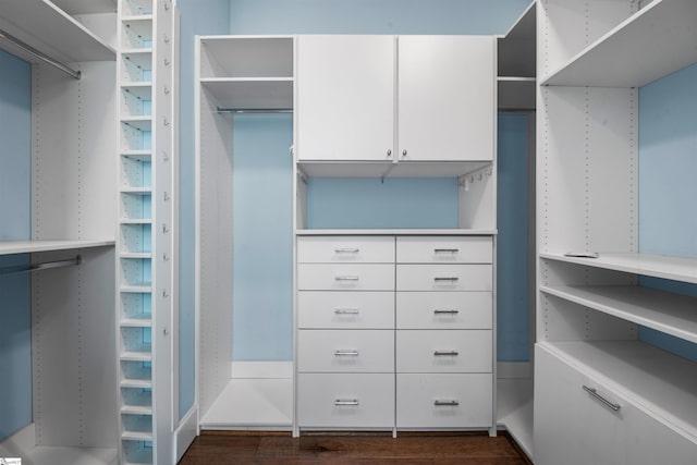113 River Pines Trl, Greer, SC 29651 - walk in closet with dark wood finished floors
