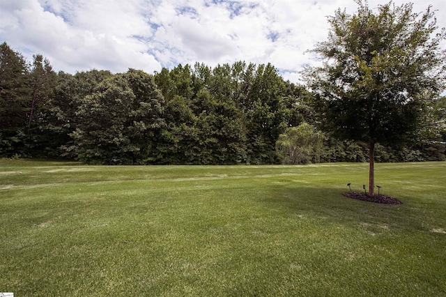 113 River Pines Trl, Greer, SC 29651 - view of grassy yard featuring view of golf course