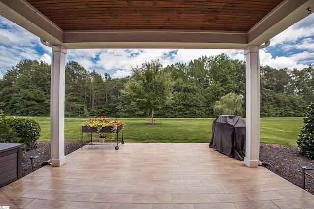 113 River Pines Trl, Greer, SC 29651 - view of patio featuring a grill and view of scattered trees