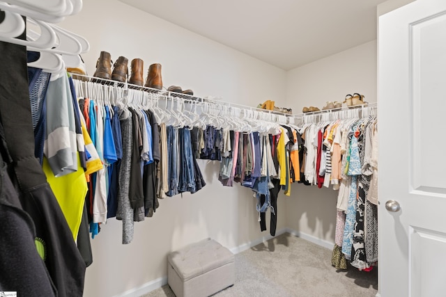220 Emerald Creek Ave, Greer, SC 29651 - walk in closet featuring carpet
