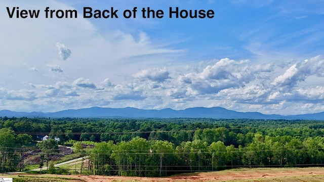 220 Emerald Creek Ave, Greer, SC 29651 - view of mountain background with a heavily wooded area