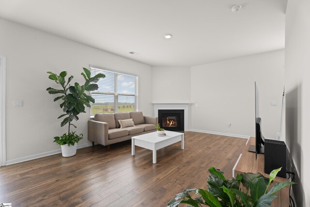 220 Emerald Creek Ave, Greer, SC 29651 - living room with a glass covered fireplace and wood finished floors