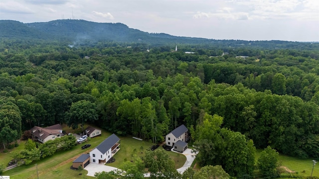 454 Enoree Rd, Travelers Rest, SC 29690 - aerial view of a forest and a mountain backdrop