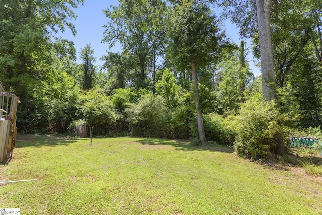 419-425 Chesapeake Trl, Pickens, SC 29671 - view of green lawn