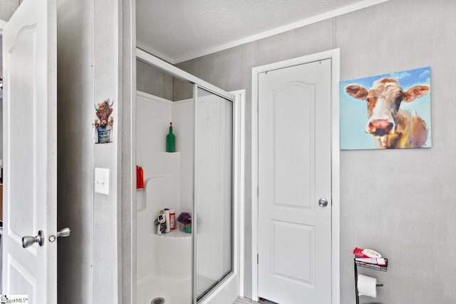 419-425 Chesapeake Trl, Pickens, SC 29671 - bathroom with a stall shower