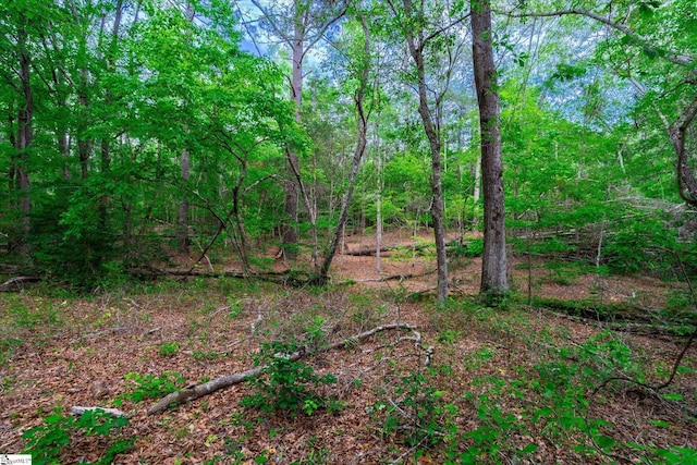 00 Watt Rogers Rd Unit 2, Pelzer, SC 29669