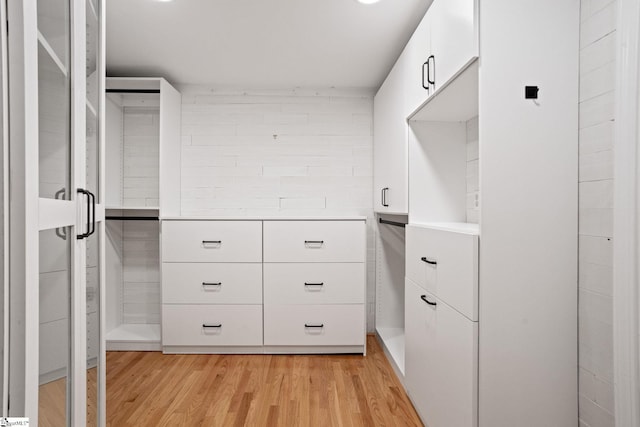 600 Packs Mountain Ridge Rd, Taylors, SC 29687 - walk in closet with light wood finished floors