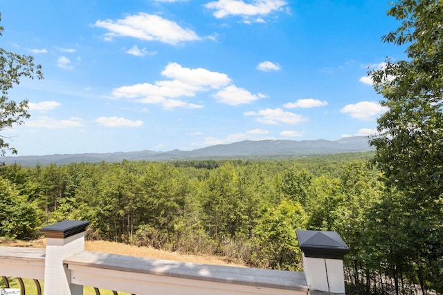 600 Packs Mountain Ridge Rd, Taylors, SC 29687 - view of mountain background with a forest