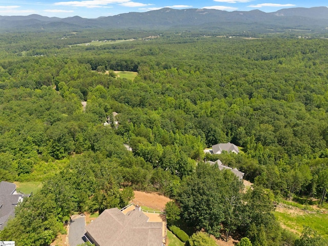 600 Packs Mountain Ridge Rd, Taylors, SC 29687 - bird's eye view of a forest and a mountainous background