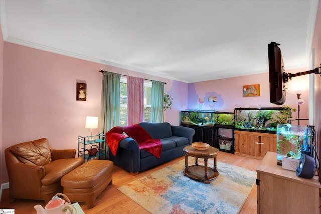 5 Nova St, Taylors, SC 29687 - living room featuring crown molding and light wood-style floors