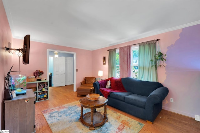 5 Nova St, Taylors, SC 29687 - living room with light wood-style floors and ornamental molding