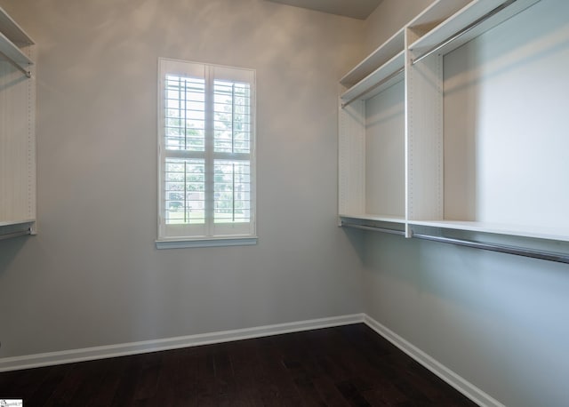 215 Wando Way, Greer, SC 29650 - walk in closet featuring dark wood-type flooring
