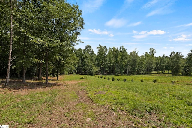 6 Mandarin Cir, Taylors, SC 29687 - view of tree filled area