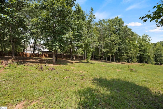 6 Mandarin Cir, Taylors, SC 29687 - view of yard
