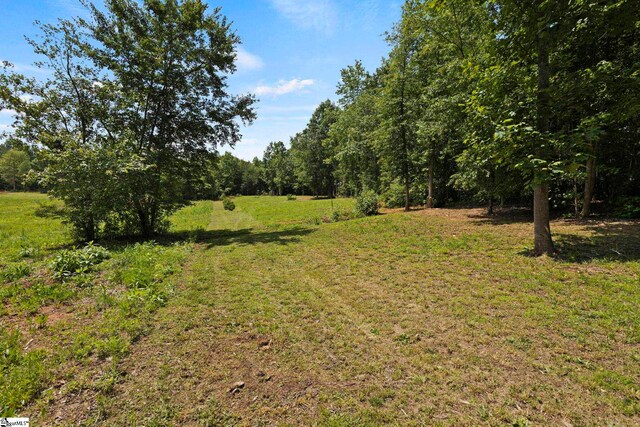 6 Mandarin Cir, Taylors, SC 29687 - view of green lawn with a forest view