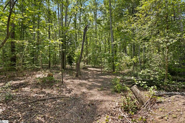 6 Mandarin Cir, Taylors, SC 29687 - view of local wilderness
