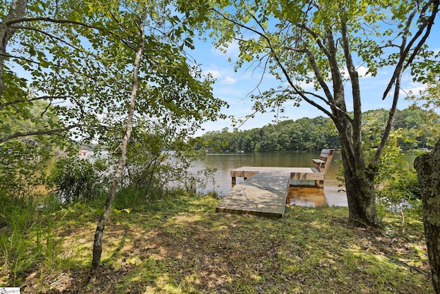 6 Mandarin Cir, Taylors, SC 29687 - dock featuring a water view