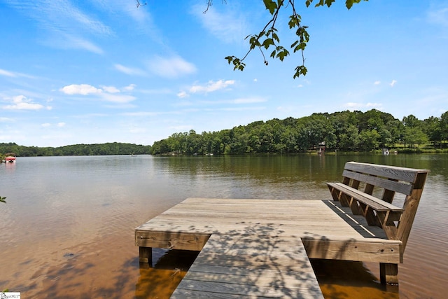 6 Mandarin Cir, Taylors, SC 29687 - dock area with a water view and a forest view