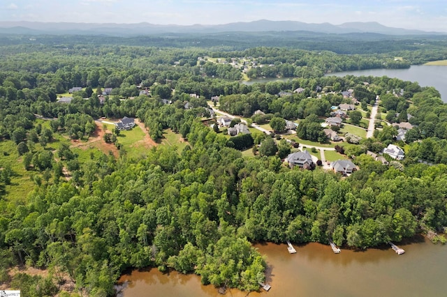 6 Mandarin Cir, Taylors, SC 29687 - drone / aerial view of a water and mountain view and a forest