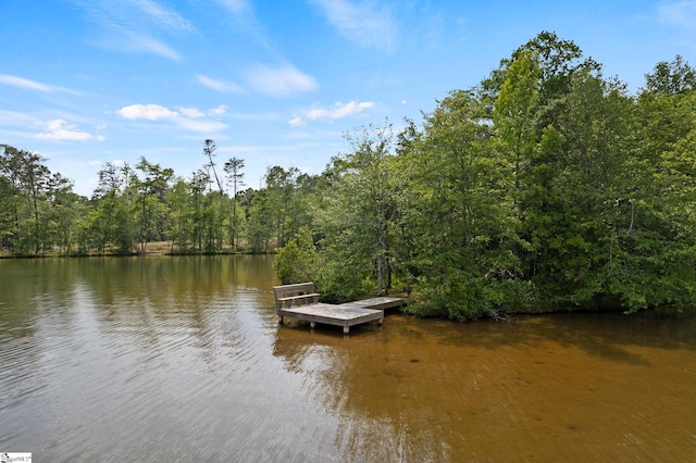 6 Mandarin Cir, Taylors, SC 29687 - dock area featuring a water view and a wooded view