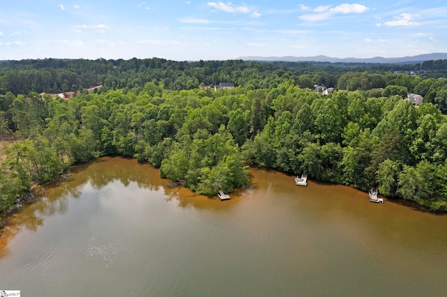 6 Mandarin Cir, Taylors, SC 29687 - bird's eye view of a heavily wooded area and a water and mountain view