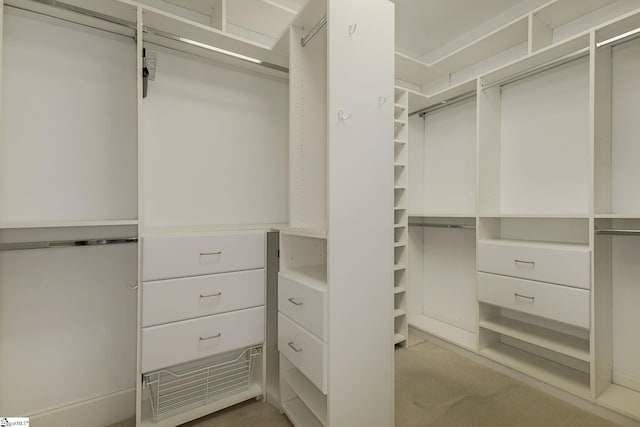 3 Henson Pl, Greer, SC 29650 - view of spacious closet