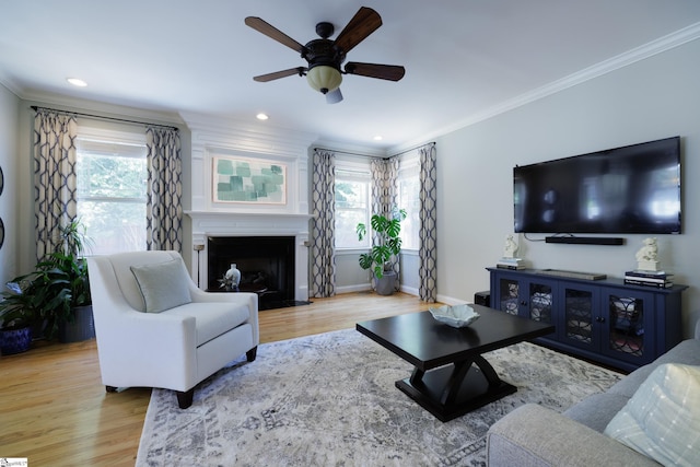 101 Stonewash Way, Greer, SC 29650 - living room with crown molding, a ceiling fan, healthy amount of natural light, wood finished floors, and a fireplace with flush hearth