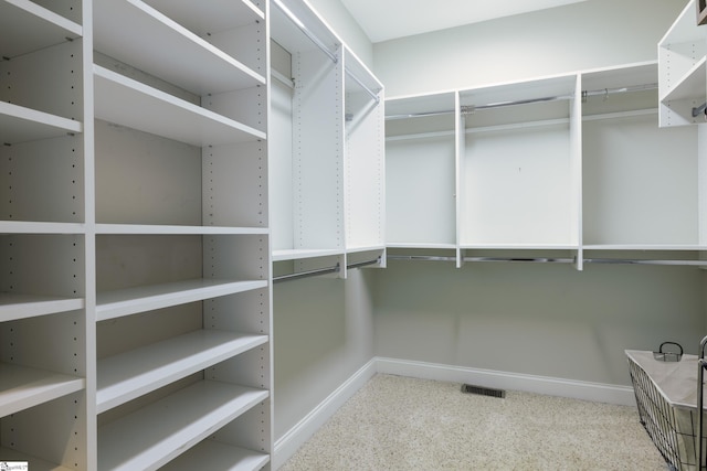 101 Stonewash Way, Greer, SC 29650 - view of spacious closet