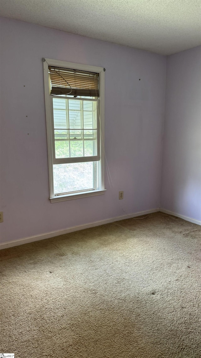 101 Polo Dr, Simpsonville, SC 29681 - unfurnished room with carpet and a textured ceiling