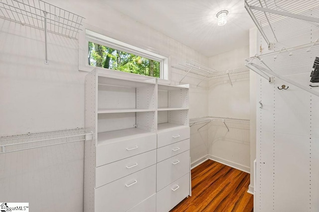 111 Bonwood Ave, Simpsonville, SC 29681 - spacious closet with dark wood-type flooring