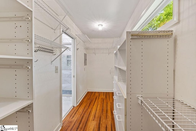 111 Bonwood Ave, Simpsonville, SC 29681 - spacious closet featuring wood finished floors and electric panel