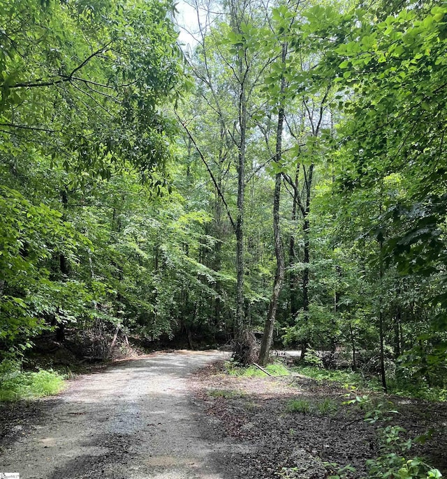 458A Bates Crossing Rd, Travelers Rest, SC 29690 - view of street with a view of trees