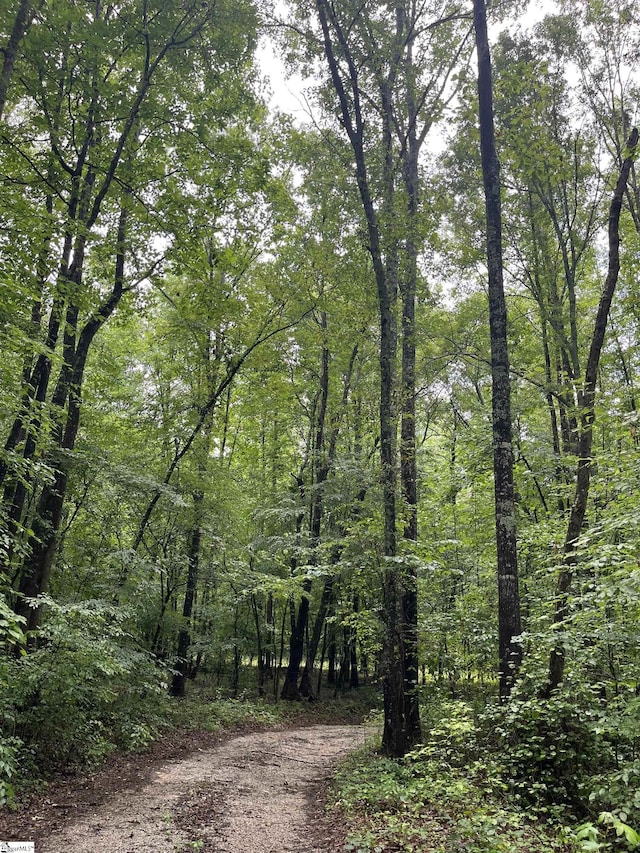 458A Bates Crossing Rd, Travelers Rest, SC 29690 - view of wooded area