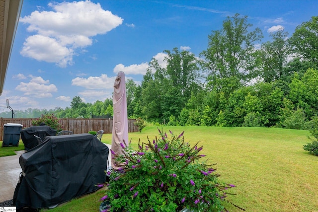 710 Westwood Rd, Lyman, SC 29365 - view of yard