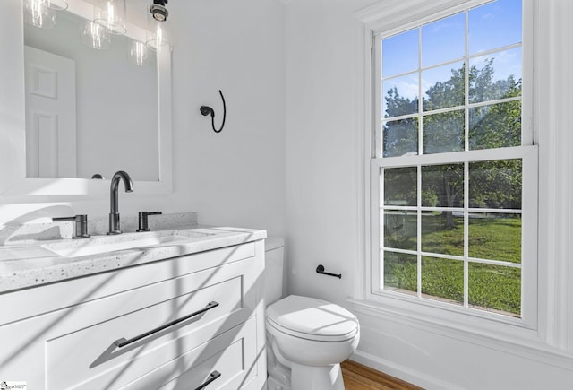 612 Walnut Way, Anderson, SC 29626 - half bathroom with vanity, healthy amount of natural light, and wood finished floors