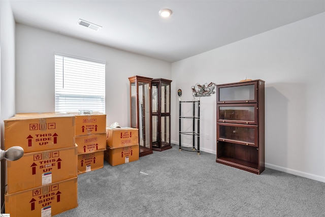 1808 Bridle Ln, Roebuck, SC 29376 - sitting room featuring carpet floors
