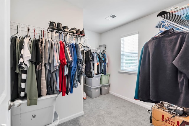 1808 Bridle Ln, Roebuck, SC 29376 - spacious closet with carpet flooring